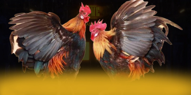 LC88 - Thương hiệu game trực tuyến có nhiều event hấp dẫn được yêu thích hàng đầu – Cập nhật ngay LC88