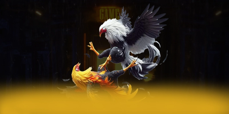 tỷ lệ kèo bóng đá - Cổng cá cược đáng trải nghiệm được cộng đồng đánh giá cao