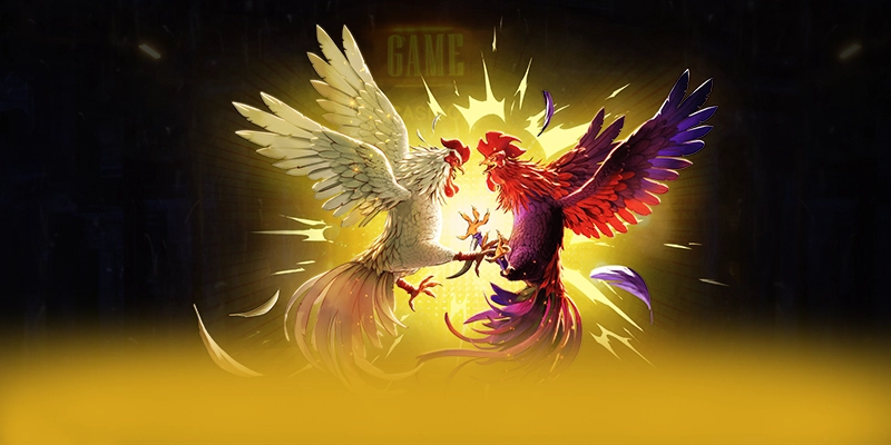 GEM88 - Kết luận tổng thể về nền tảng này với góc nhìn khách quan.